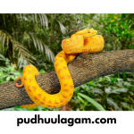 பாம்பு கனவில் வந்தால் என்ன பலன் - Pambu Kanavil Vanthal
