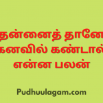 தன்னைத் தானே கனவில் கண்டால் என்ன பலன்