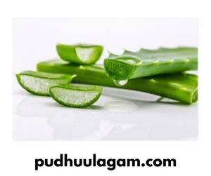 கற்றாழை ஜெல் பயன்கள் - Aloe Vera Benefits Tamil