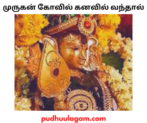 முருகன் கோவில் கனவில் வந்தால் என்ன பலன்