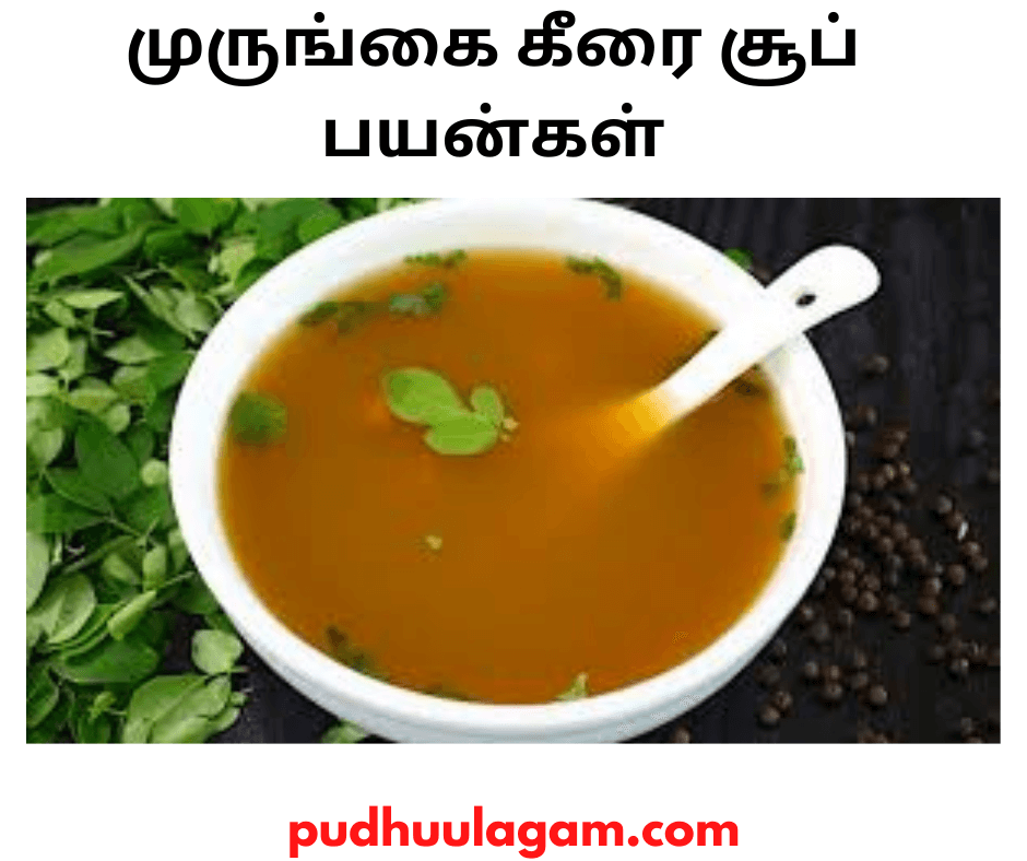 முருங்கைக் கீரை சூப் பயன்கள்