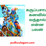 கருப்பசாமி கனவில் வந்தால் என்ன பலன்