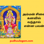 அம்மன் சிலை கனவில் வந்தால் என்ன பலன்