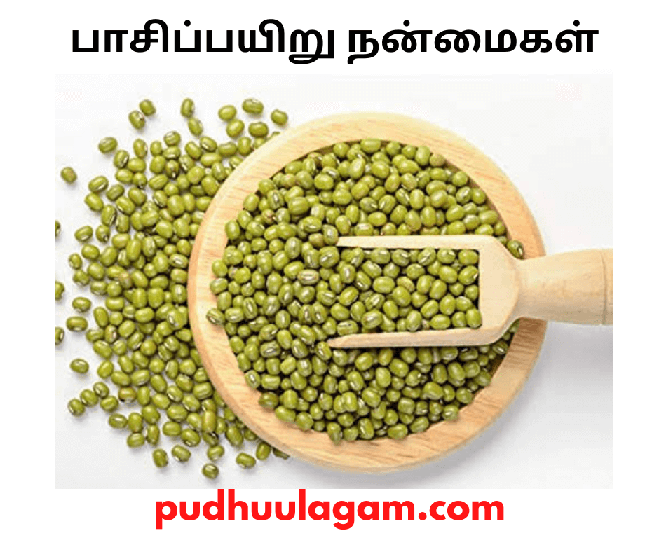 பாசிப்பயிறு நன்மைகள் - Pachai Payaru Benefits In Tamil