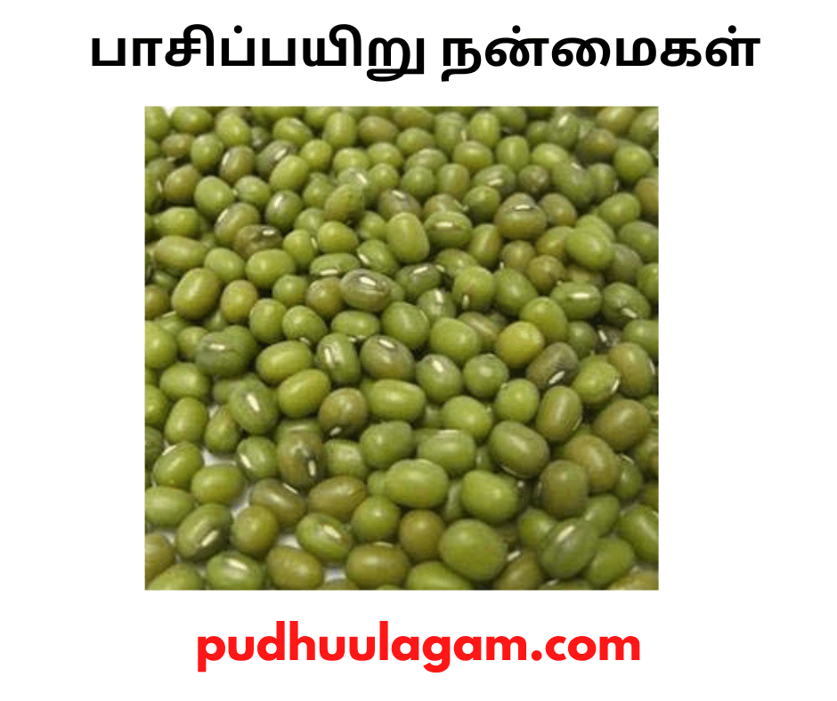 பாசிப்பயிறு நன்மைகள் - Pachai Payaru Benefits In Tamil