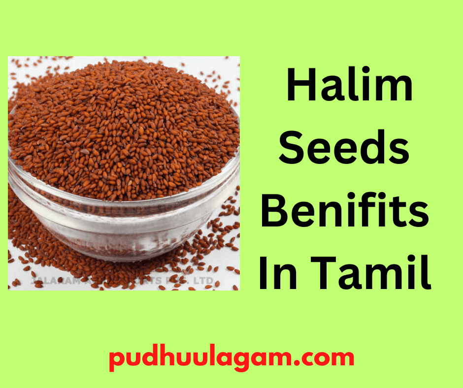 (சாலியா விதை பயன்கள் - Halim Seeds Benifits In Tamil - ஹலிம் சாலியா விதை பயன்கள்  -  saliya seeds benefits in tamil