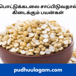 பொட்டுக்கடலை பயன்கள் - Pottukadalai Benefits In Tamil