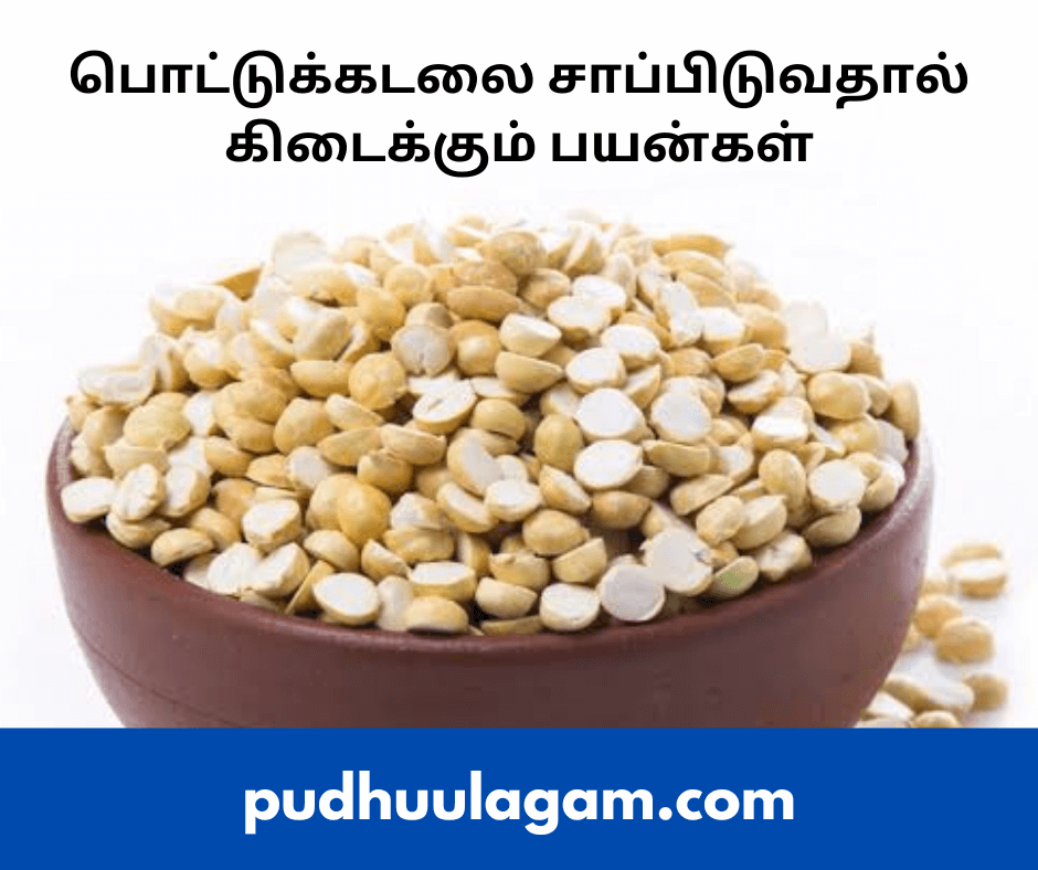 பொட்டுக்கடலை பயன்கள் - Pottukadalai Benefits In Tamil