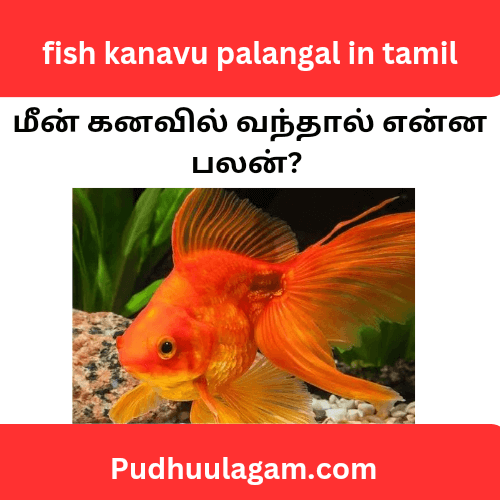 மீன் கனவில் வந்தால் என்ன பலன் - fish kanavu palangal in tamil