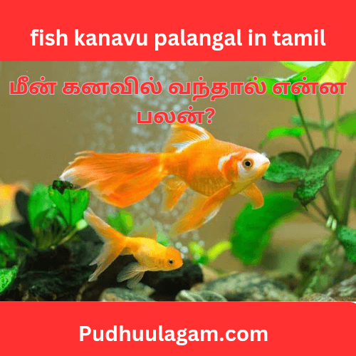 மீன் கனவில் வந்தால் என்ன பலன் - fish kanavu palangal in tamil