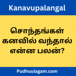 சொந்தங்கள் கனவில் வந்தால் என்ன பலன்?