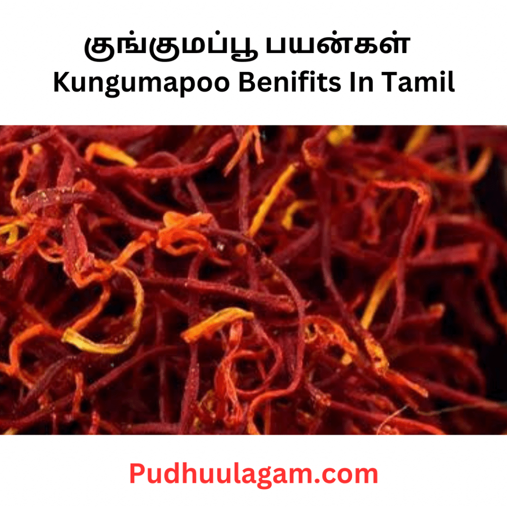 குங்குமப்பூ பயன்கள் - Kungumapoo Benifits In Tamil (Uses Of Kungumapoo In Tamil - குங்குமப்பூ நன்மைகள்)