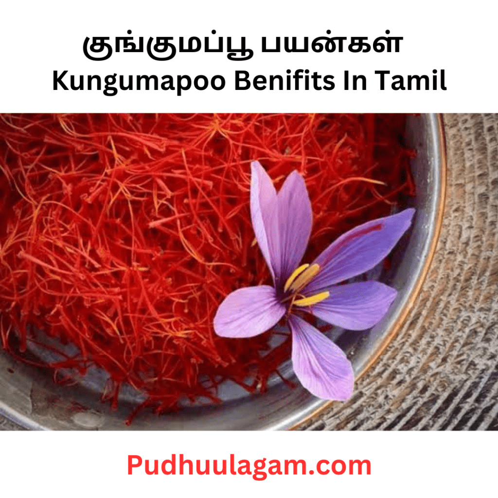 குங்குமப்பூ பயன்கள் - Kungumapoo Benifits In Tamil (Uses Of Kungumapoo In Tamil - குங்குமப்பூ நன்மைகள்)