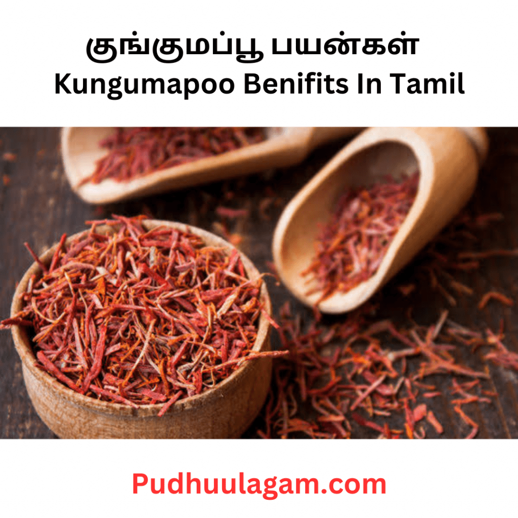 குங்குமப்பூ பயன்கள் - Kungumapoo Benifits In Tamil (Uses Of Kungumapoo In Tamil - குங்குமப்பூ நன்மைகள்)