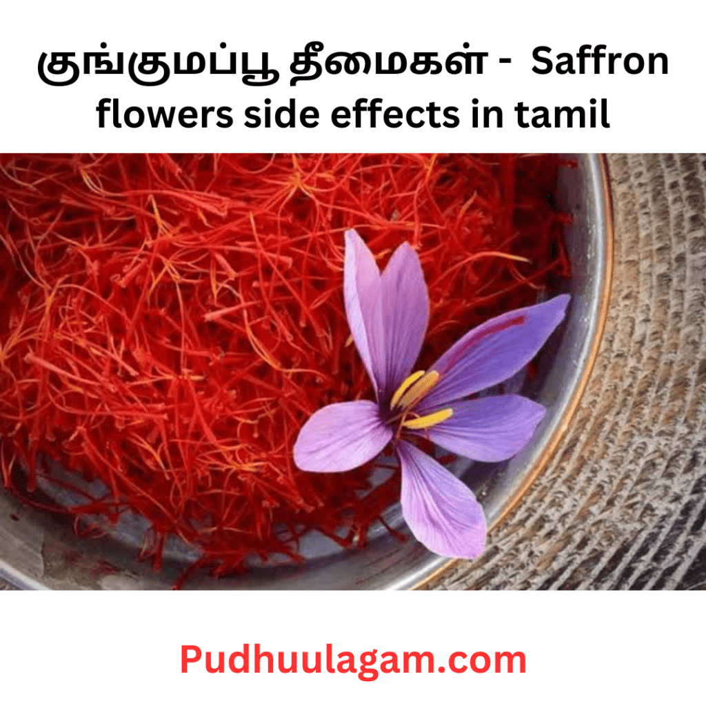 குங்குமப்பூ தீமைகள் -  Saffron flowers side effects in tamil