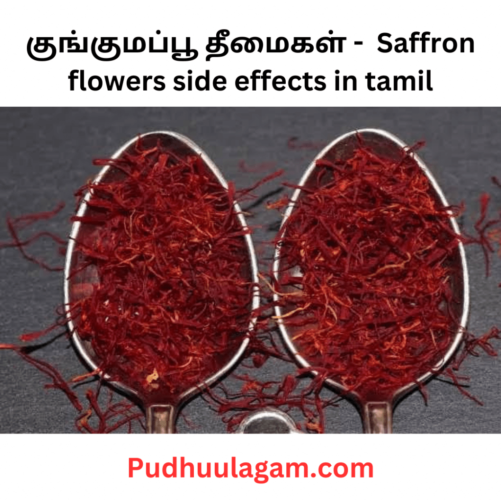 குங்குமப்பூ தீமைகள் -  Saffron flowers side effects in tamil