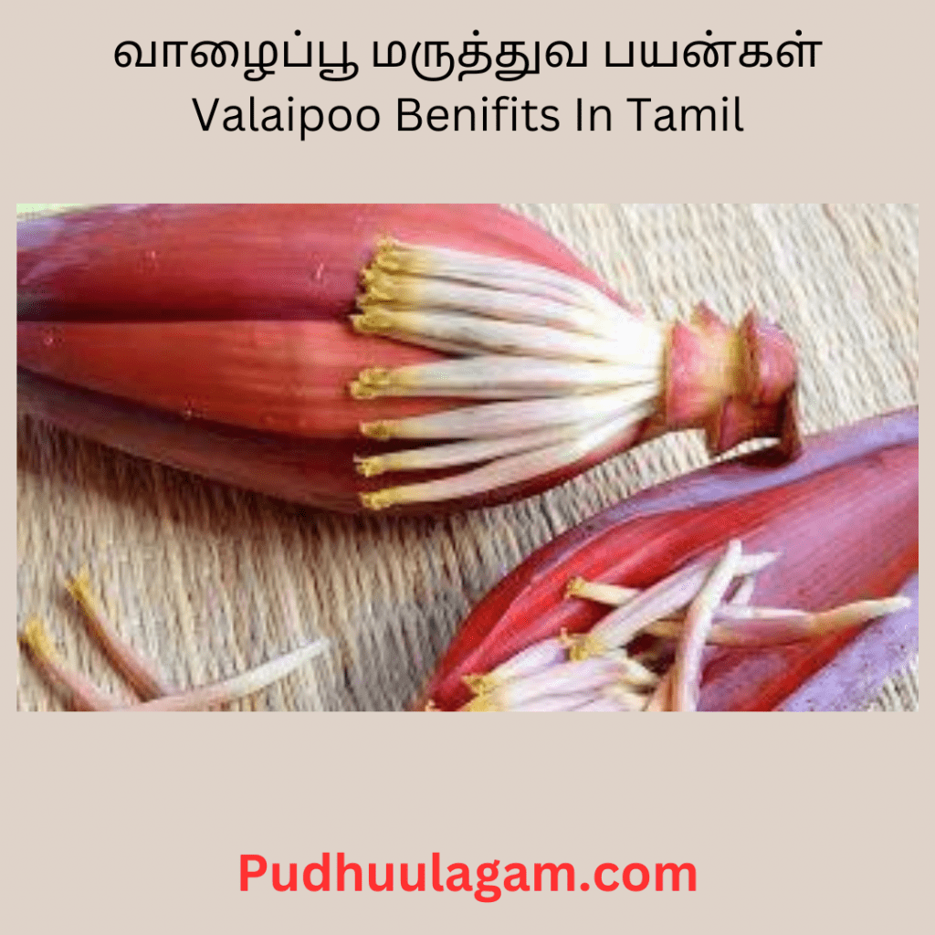 வாழைப்பூ மருத்துவ பயன்கள்- Valaipoo Benifits In Tamil