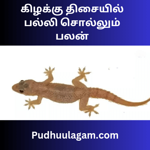 கிழக்கு திசையில் பல்லி சொல்லும் பலன்