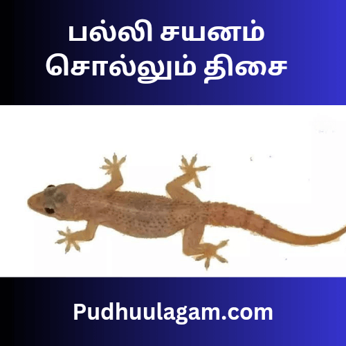 வடகிழக்கு பல்லி சொல்லும் பலன்