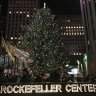 Rockefeller Center’s Grand Christmas Tree for 2023 Has Been Selected